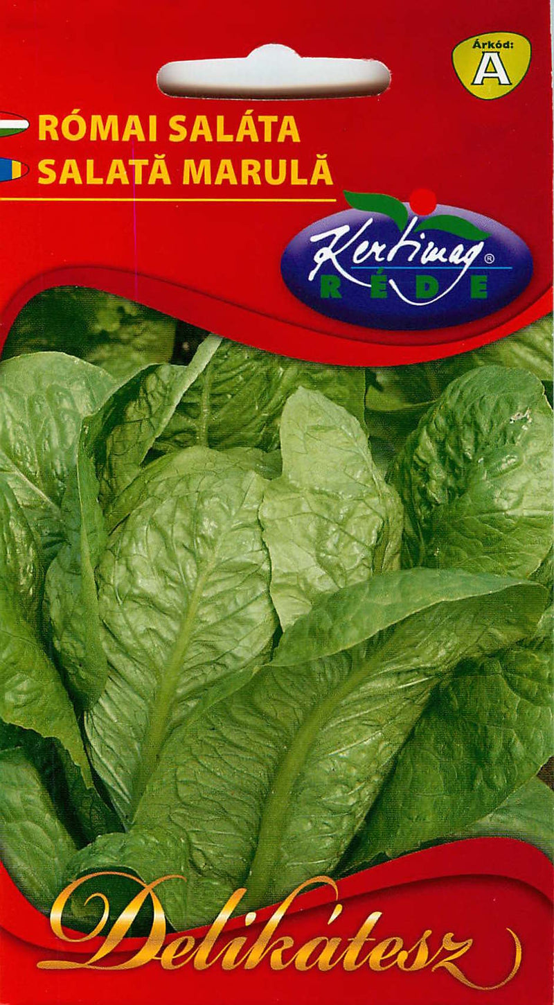 Lettuce - Romaine - 2g