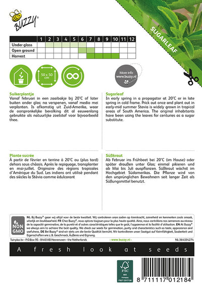 Stevia - 20 Sjemenki