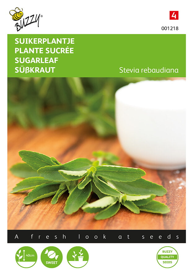 Plante Sucrée - 20 Graines