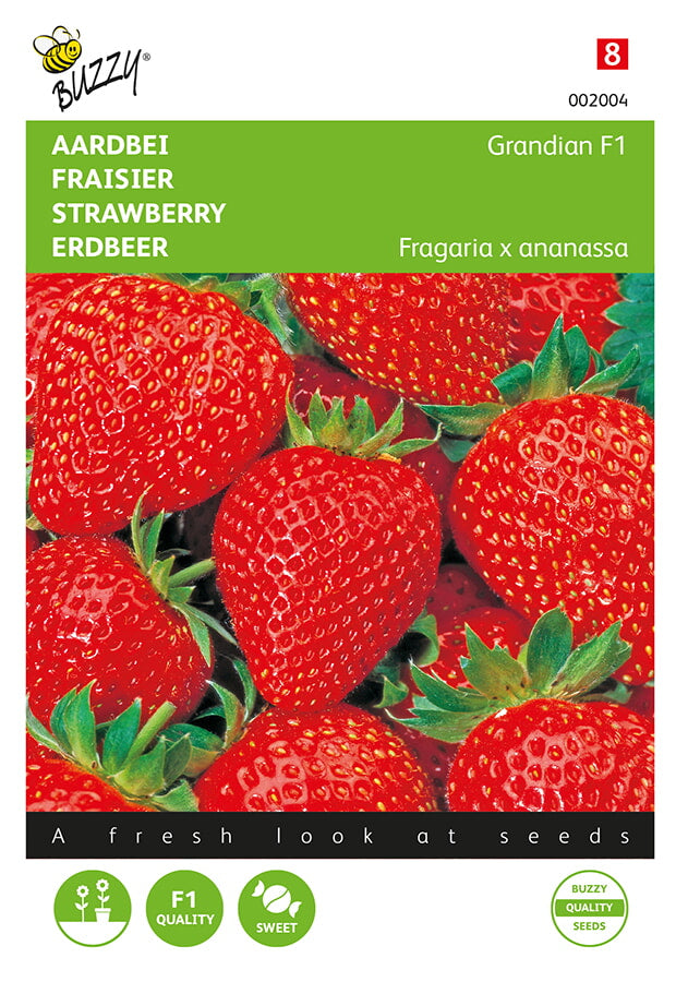 Strawberry - Grandian F1 - 20 Seeds