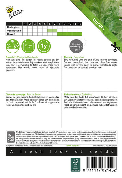 Sugarloaf Chicory - Vroege Zelfsluitende - 3g