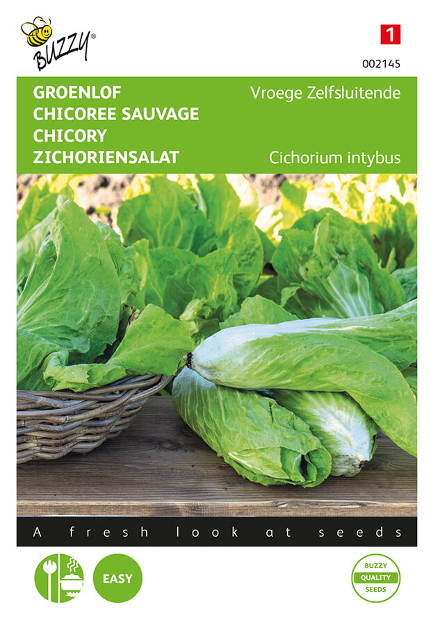 Sugarloaf Chicory - Vroege Zelfsluitende - 3g