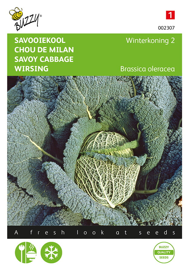 Savoy Cabbage - Winterkoning 2 - 2g