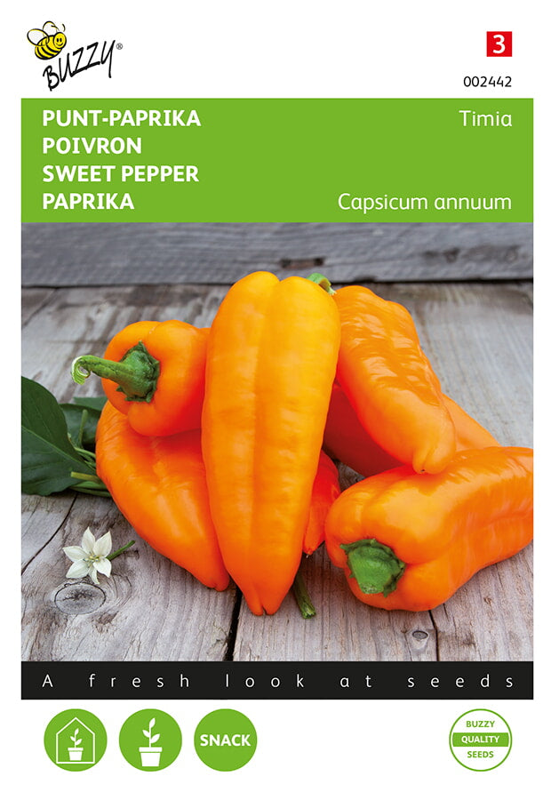 Paprika - Timia - 10 Samen