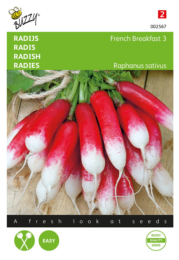 Radish - French Breakfast 3 - 10g