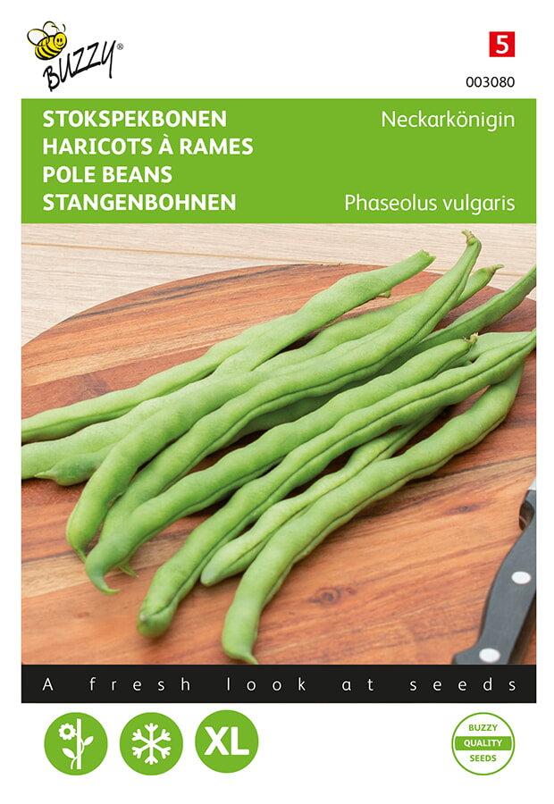 Haricots Verts - Neckarkönigin - 25g