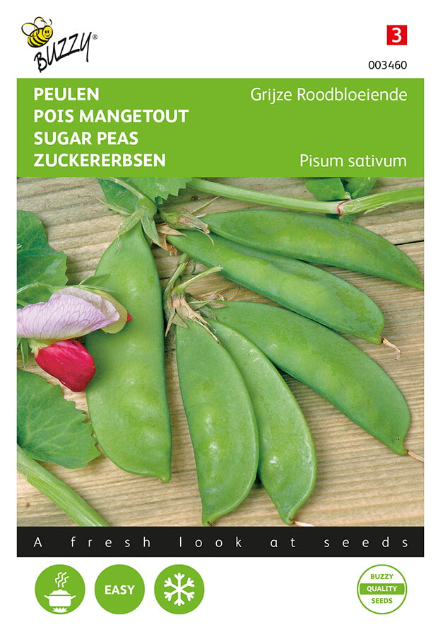 Pois Mangetout - Grijze Roodbloeiende - 30g