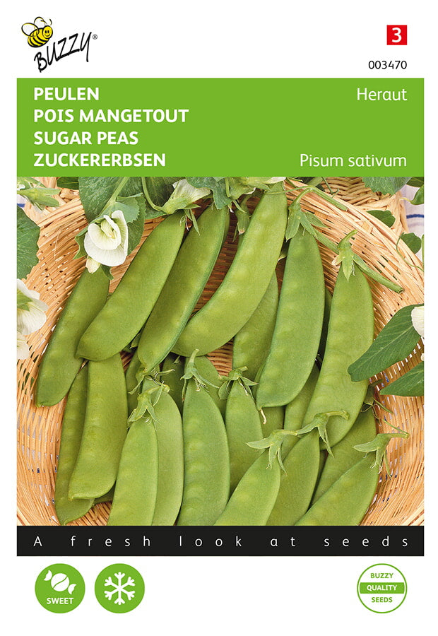 Pois Mangetout - Héraut - 20g