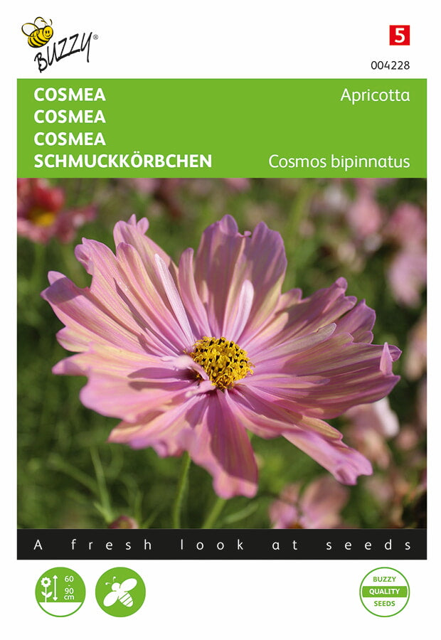 Cosmea - Albaricoque - 30 semillas