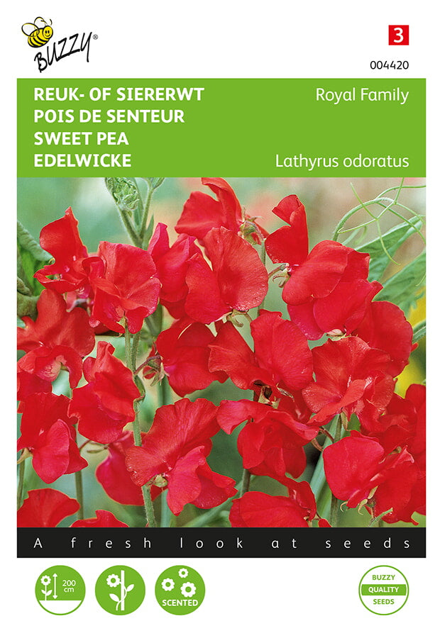 Sweet Pea - Royal Family Scarlet - 4g