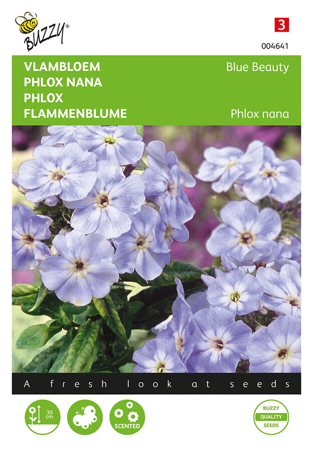 Phlox - Bellezza Blu - 0,4g