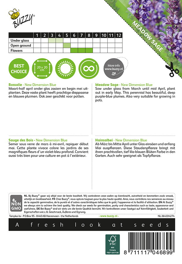 Salvia de la pradera - Nueva dimensión azul - 25 semillas