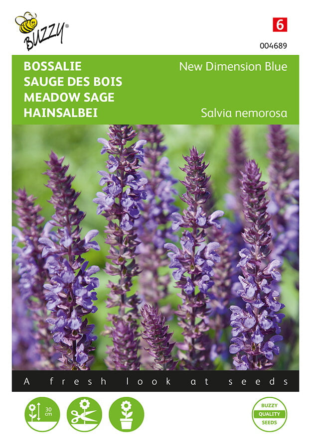 Sauge des Bois - New Dimension Blue - 25 graines