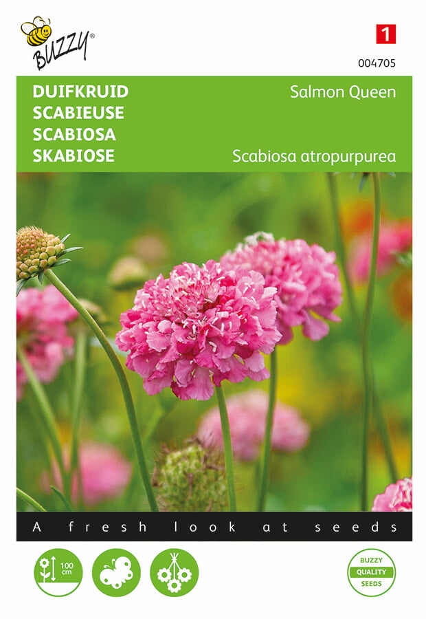 Scabiosa - Salmon Queen - 0,5g