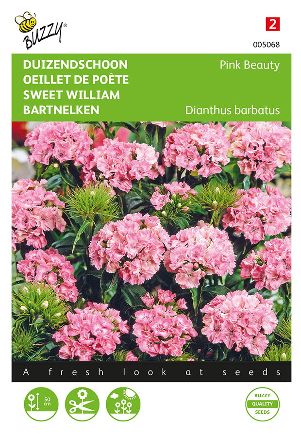 Sweet William - Belleza Rosa - 0,75g