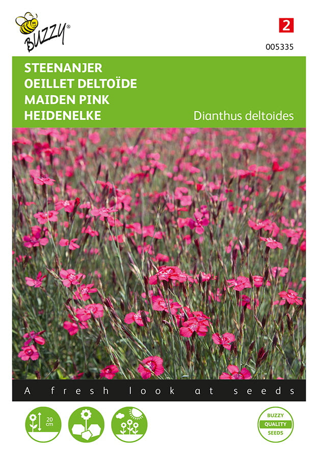 Oeillet Deltoïde - Brillant - 0,25g