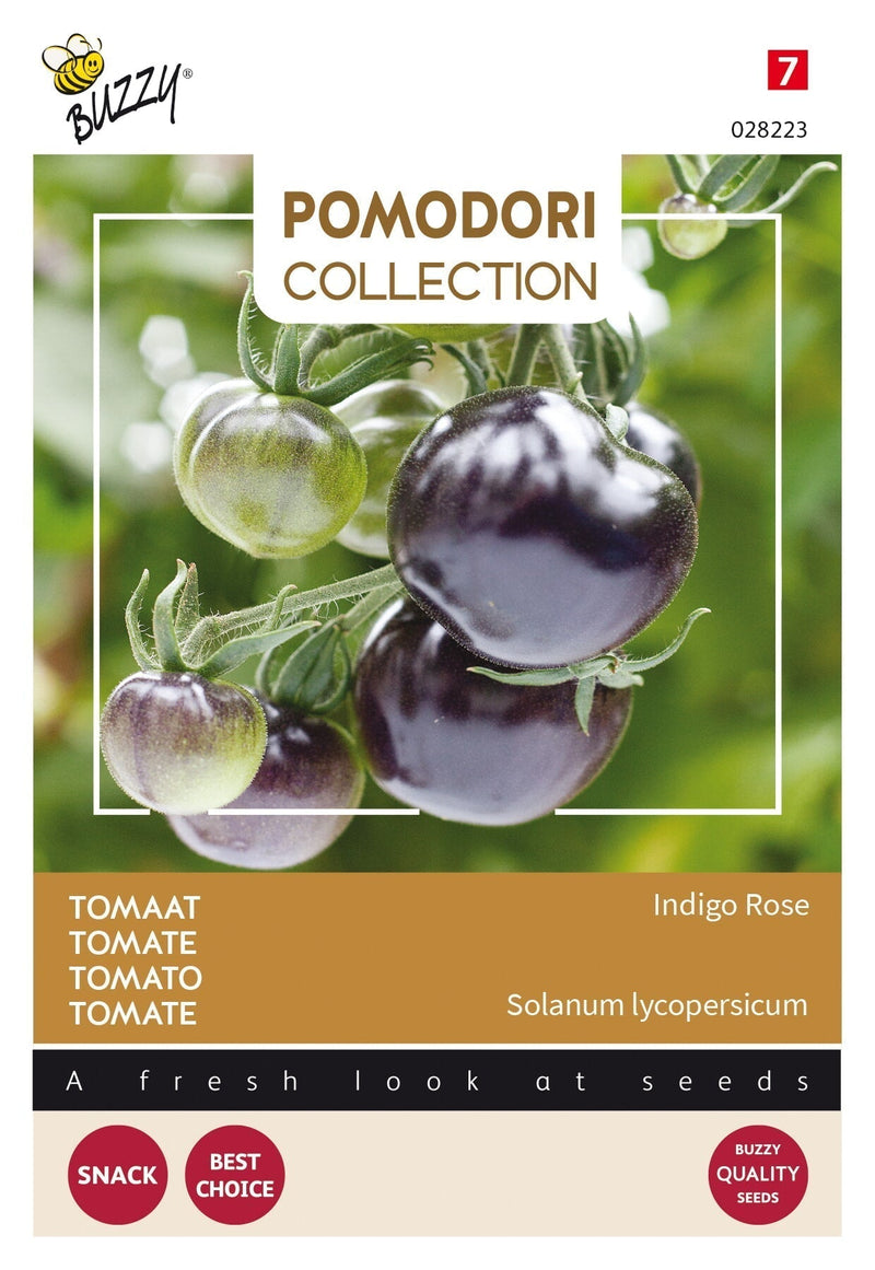 Pomodoro - Rosa Indaco - 8 Semi