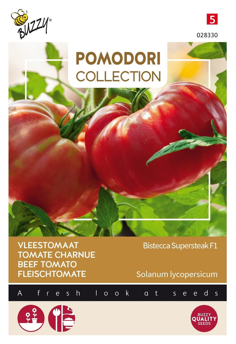 Tomato - Bistecca Supersteak F1 - 10 Seeds