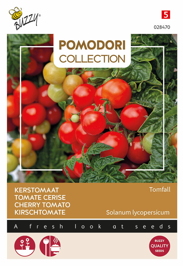 Tomate Cherry - Tomfall - 0,1g