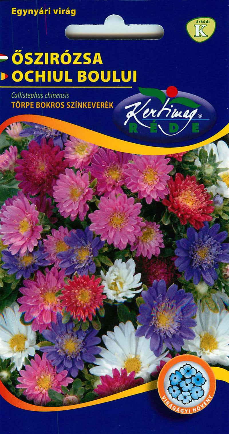 Aster - Dwarf Bush - 1g