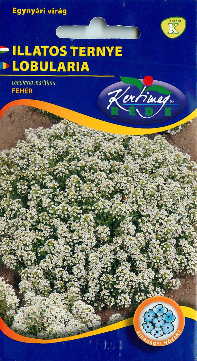 Alyssum - Wit - 1g