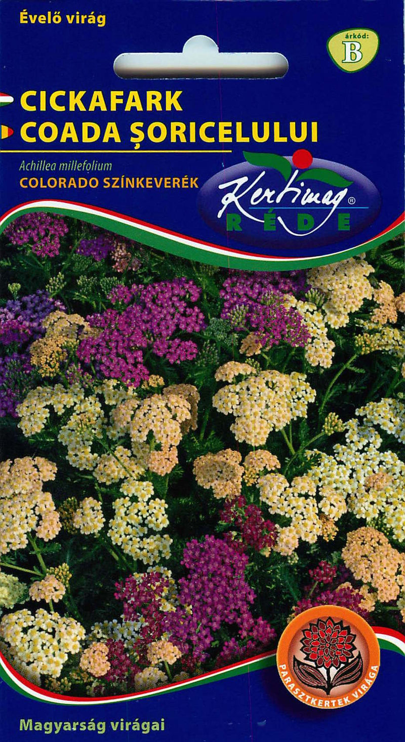 Yarrow - White / Purple - 0,25g