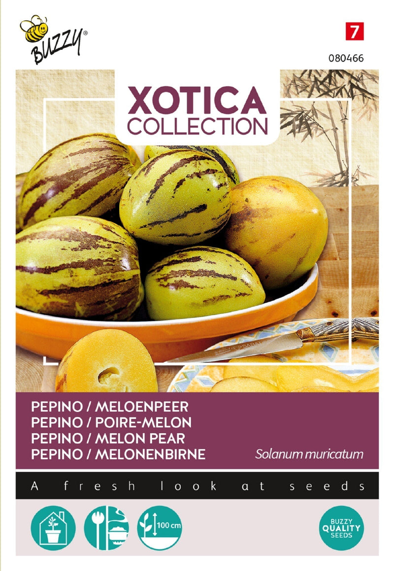 Pepino - Melon Pear - 15 Semințe