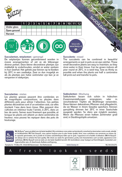 Suculente - Mixte - 7 Seminte