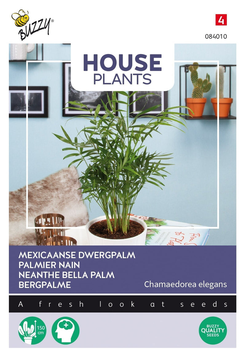 Neanthe Bella Palme – 15 Samen