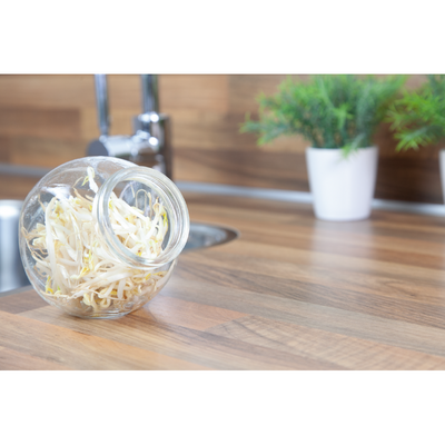 Olla de vidrio Kitchen Sprouts