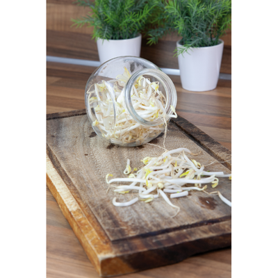 Olla de vidrio Kitchen Sprouts