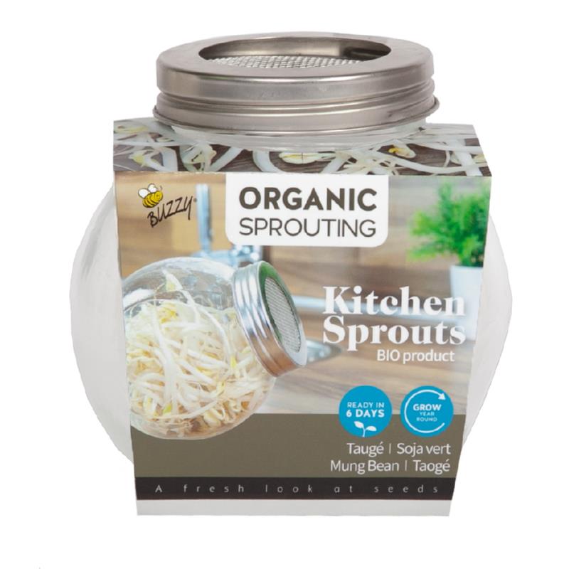 Olla de vidrio Kitchen Sprouts