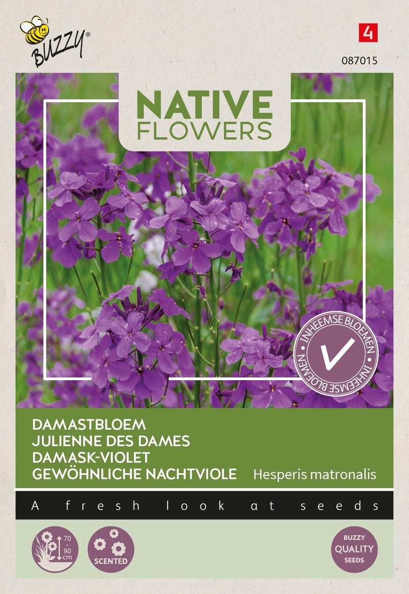 Flores Nativas - Damasco-Violeta - 0,25g