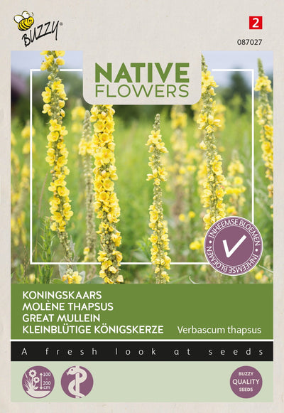 Native Flowers - Great Mullein - 0,1g