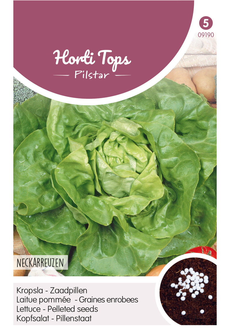 Lettuce - Neckarreuzen - 500 pelleted seeds