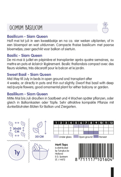 Busuioc Dulce - Siam Queen - 0,2g