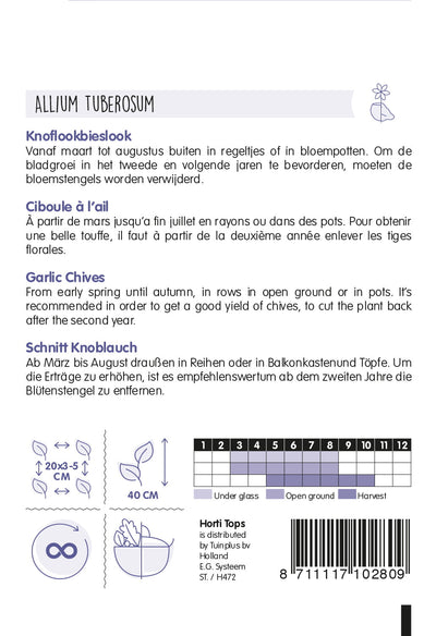 Ciboulette à l'ail - 1 g