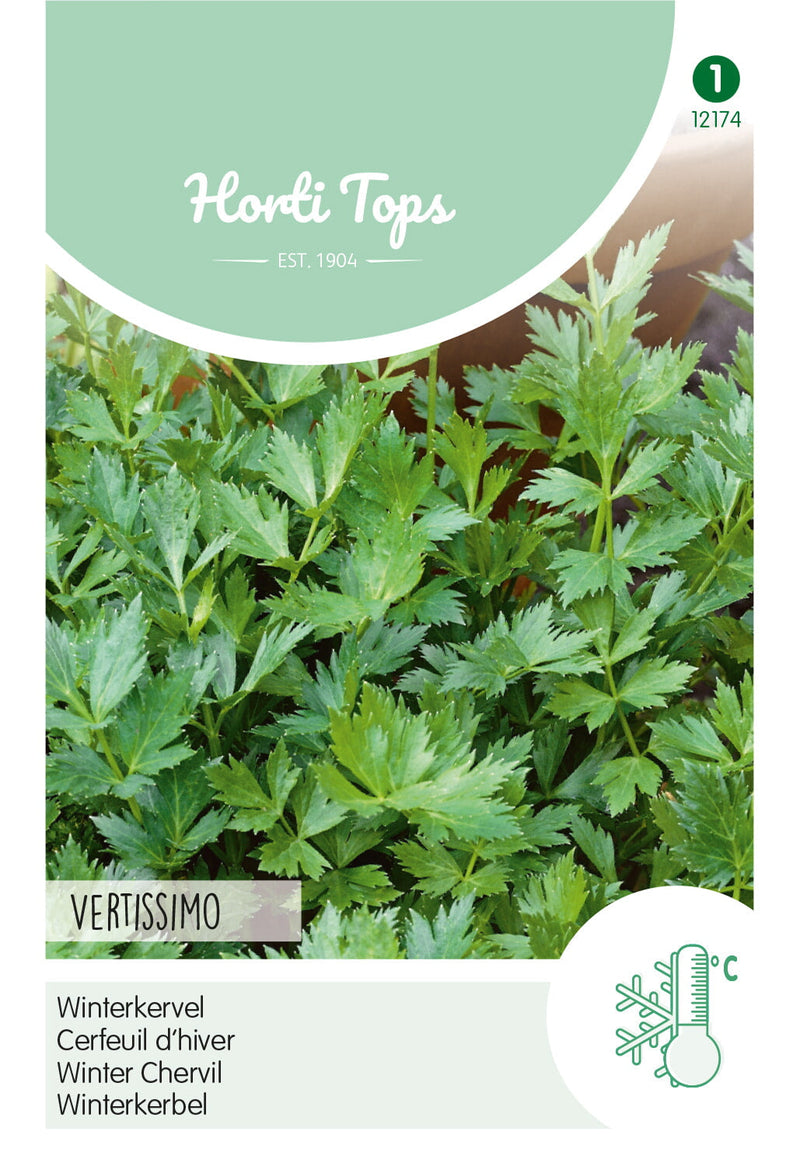 Winter Chervil - Vertissimo - 10g