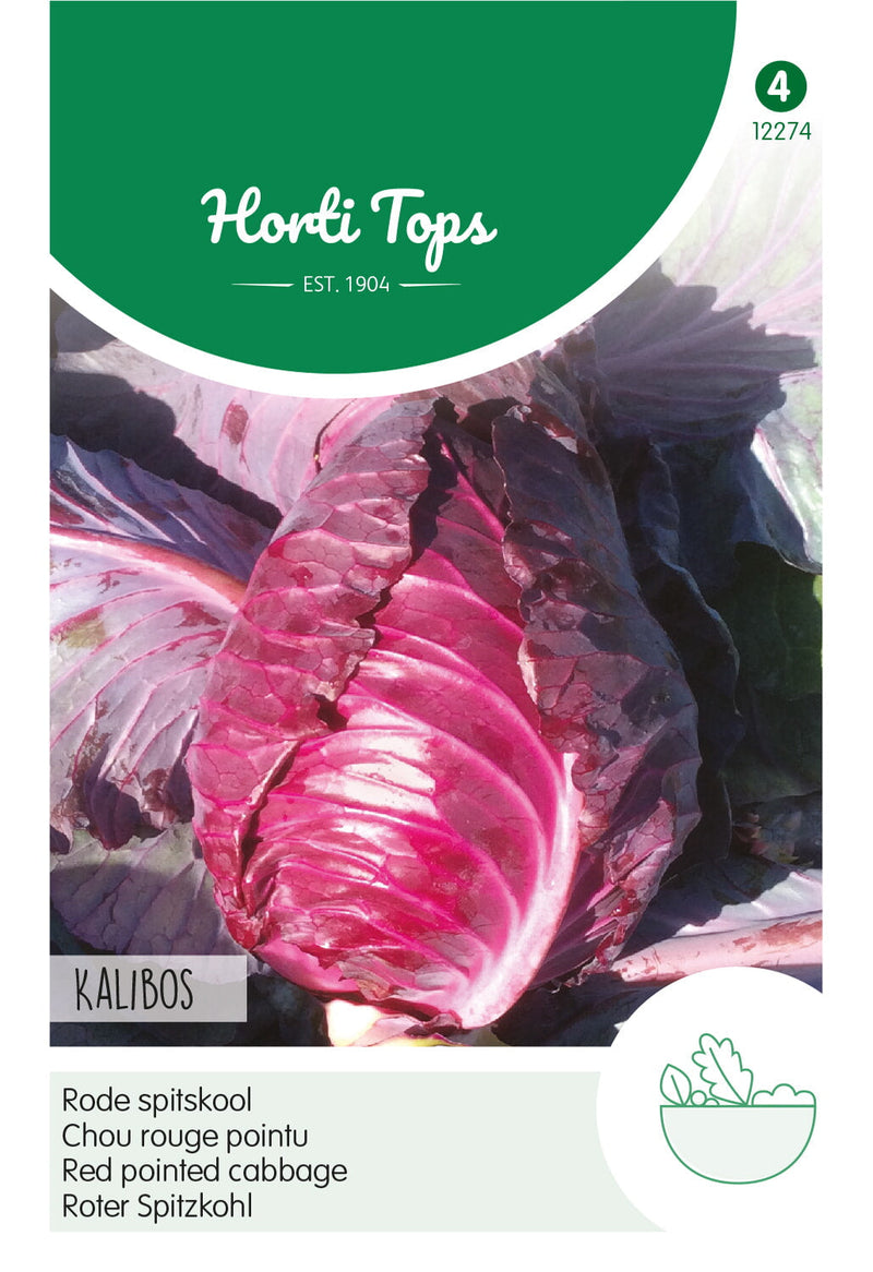 Red Pointed Cabbage - Kalibos - 1g