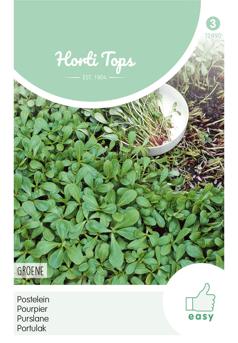 Purslane - Groene - 10g