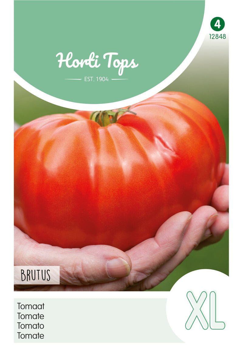 Tomato XL - Brutus - 0,2 g