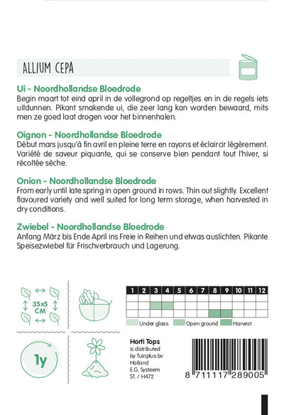Zwiebel - Noordhollandse Bloedrote - 4 g