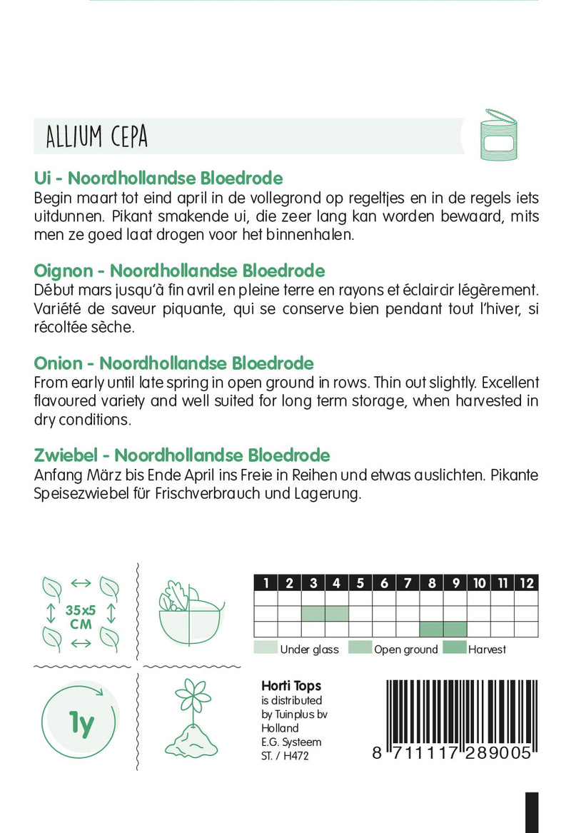 Zwiebel - Noordhollandse Bloedrote - 4 g