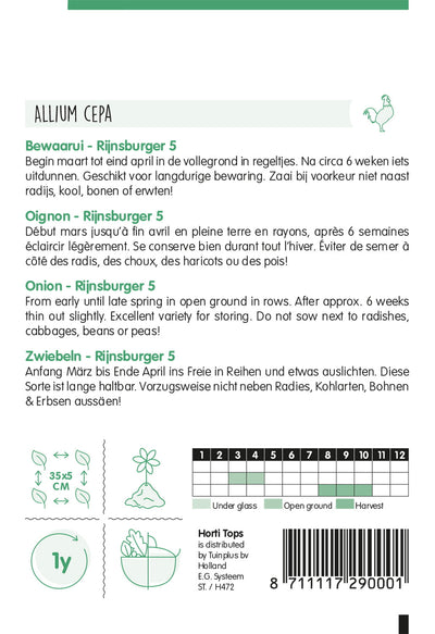 Zwiebel - Rijnsburger 5 - 4 g