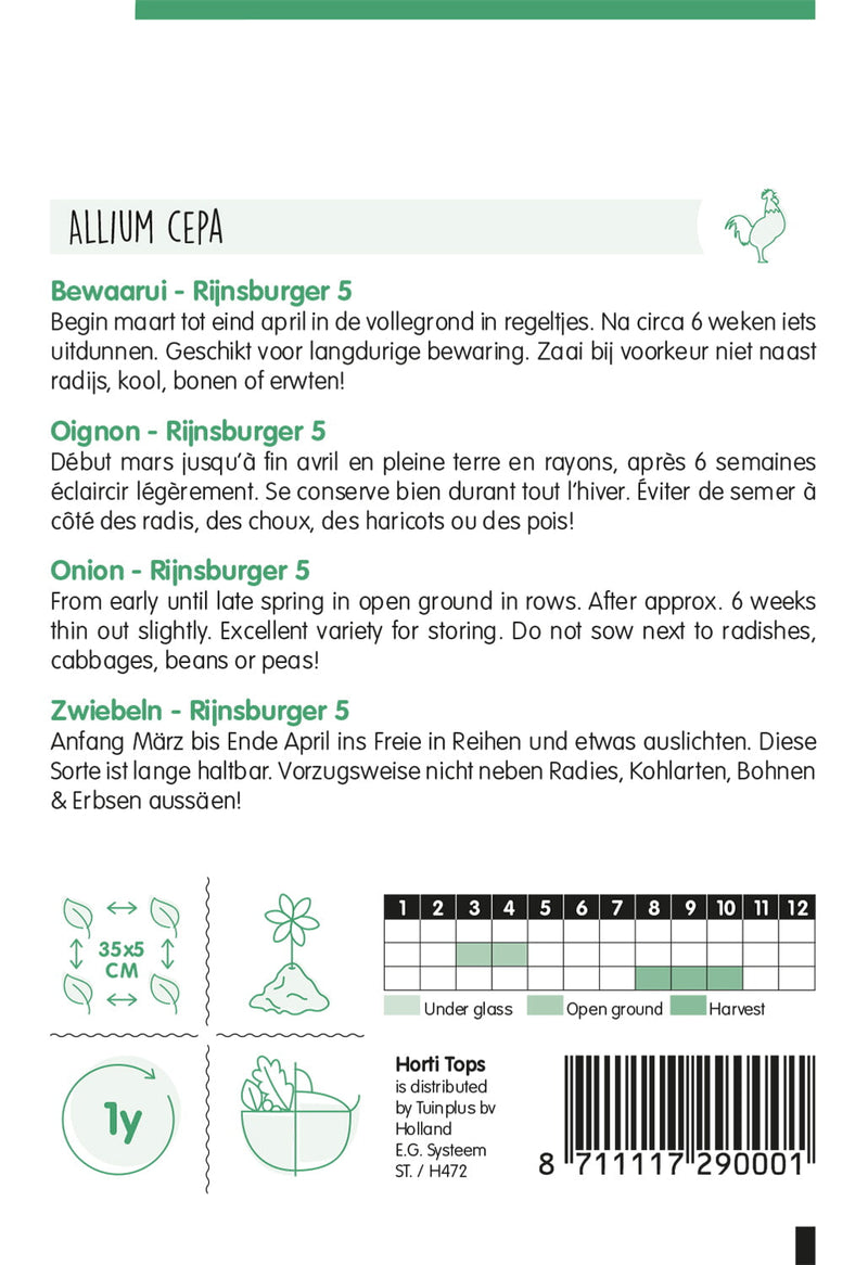 Zwiebel - Rijnsburger 5 - 4 g