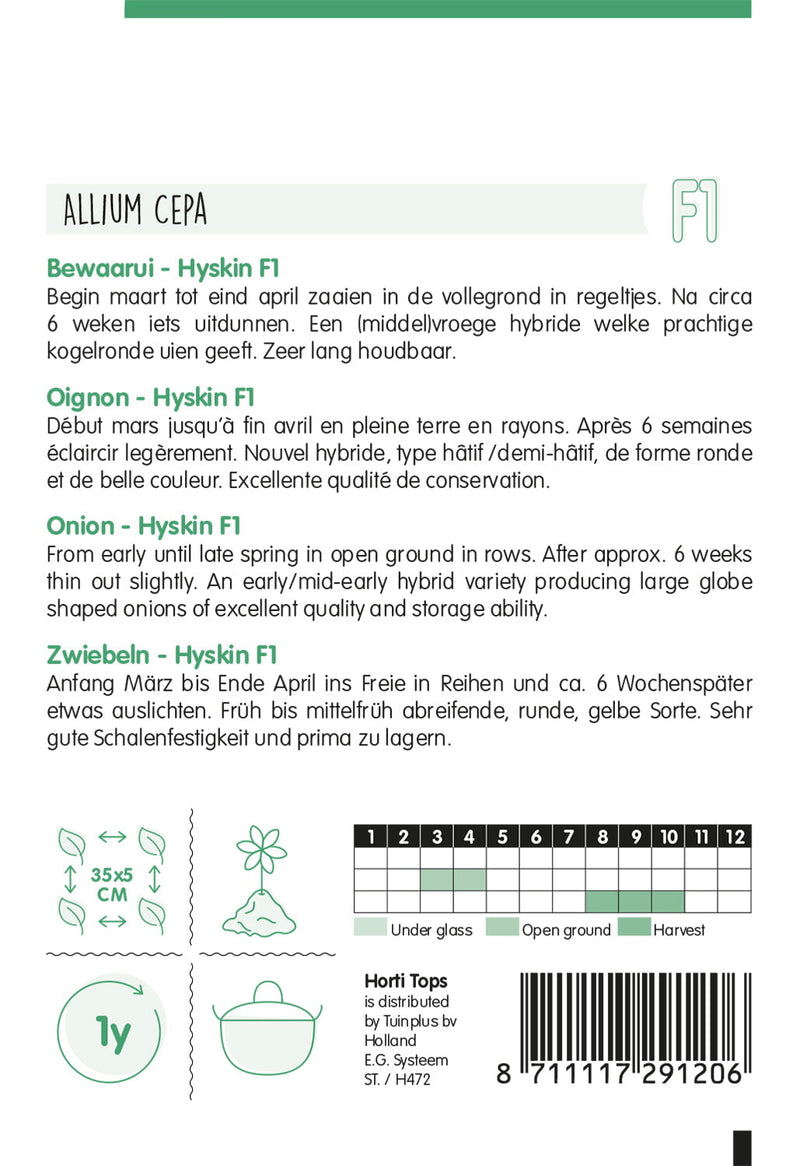 Zwiebel - Hyskin F1 - 600 Samen -