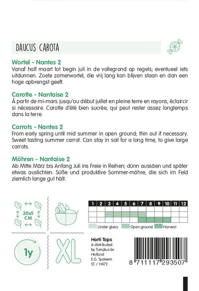 Karotte - Nantes 2 - 6 g