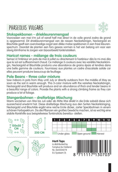 Stangenbohnen - 3 Farben Mischung - 25 g