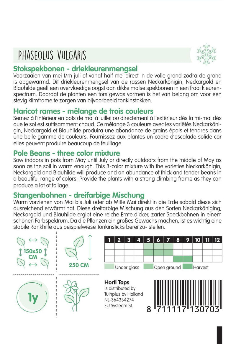 Stangenbohnen - 3 Farben Mischung - 25 g