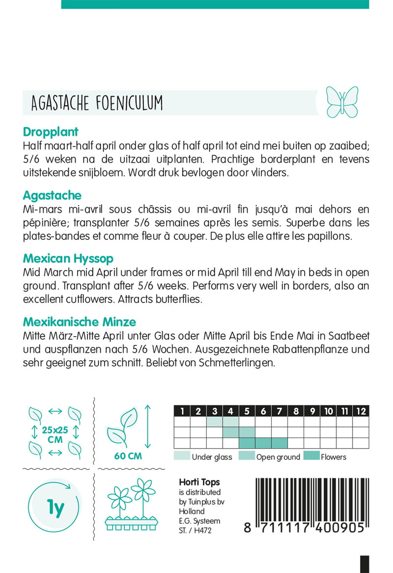 Hysope du Mexique - 0,4 g